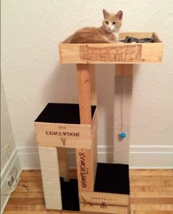 construire un arbre à chat
