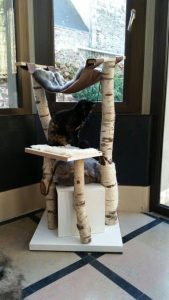 fabriquer un arbre à chat