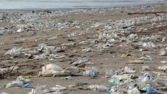 Pourquoi le plastique est mauvais pour l’environnement ?